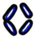Image of the occurrence